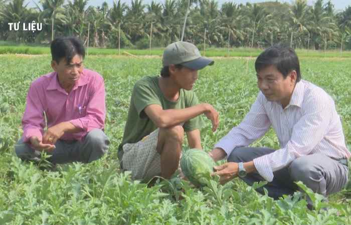 Chuyên mục Khuyến nông: Hiệu quả chuyển đổi cơ cấu cây trồng trên đất lúa (30-11-2021)